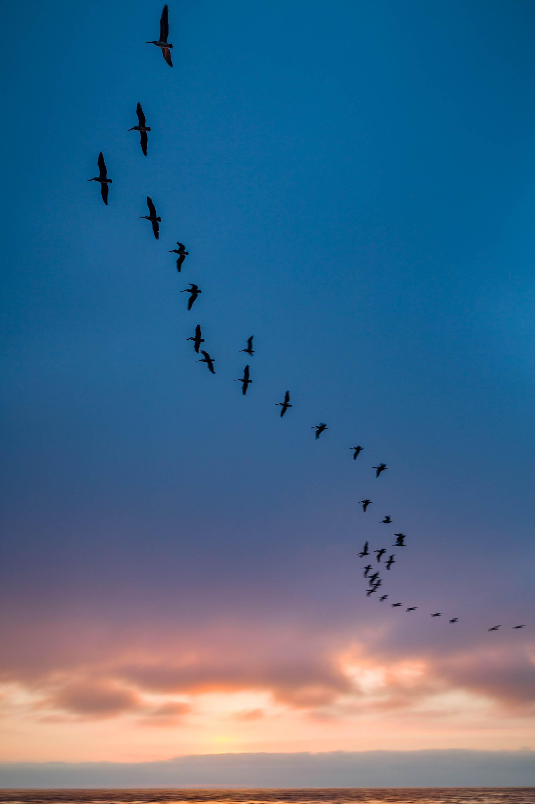 Uh oh, image should display here!