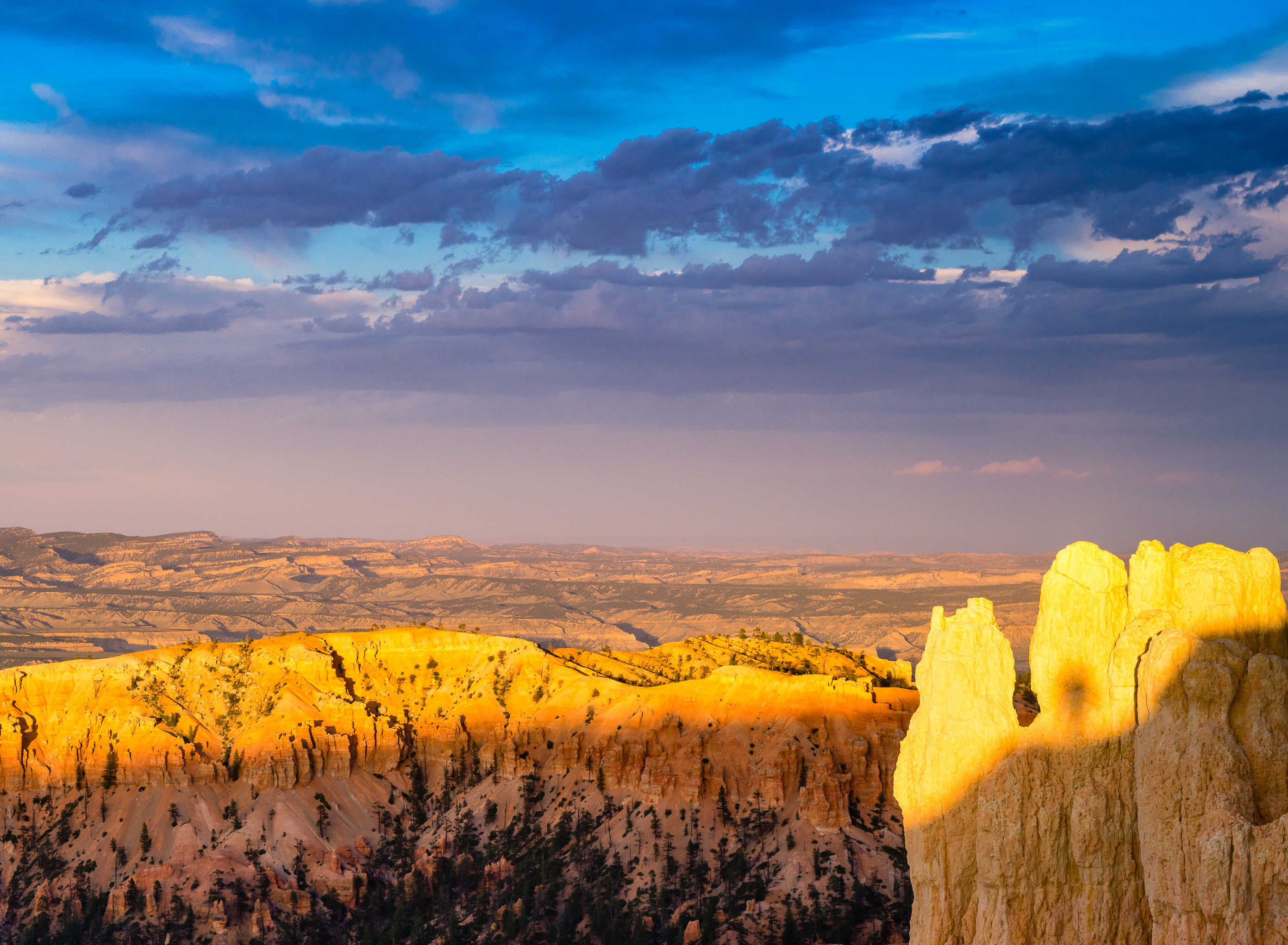 Uh oh, image should display here!